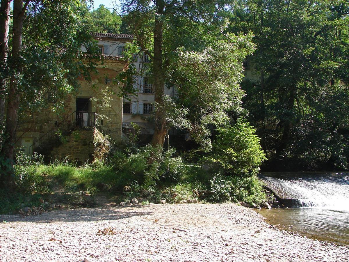 Le Moulin De Saleth Hotel Saint-Antonin Kültér fotó